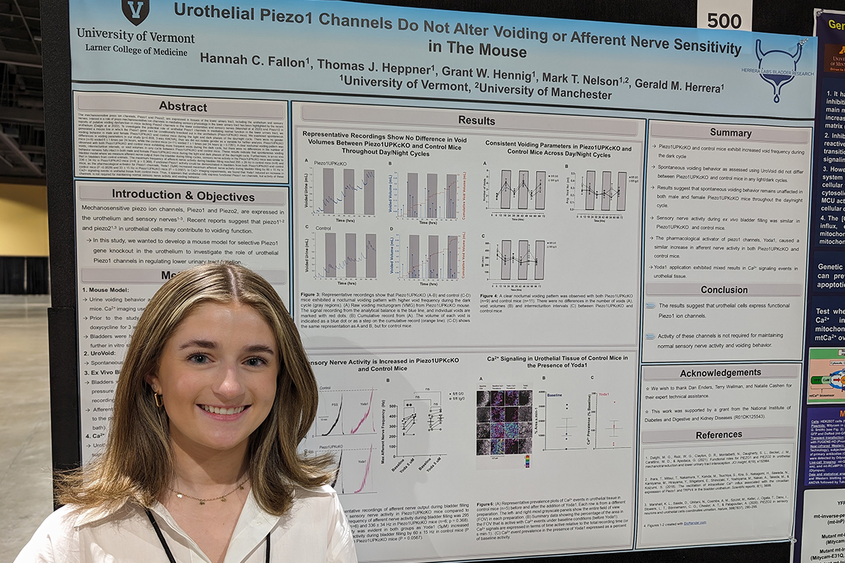 Hannah Fallon from the Herrera Lab presenting poster at 2024 Physiology Summit